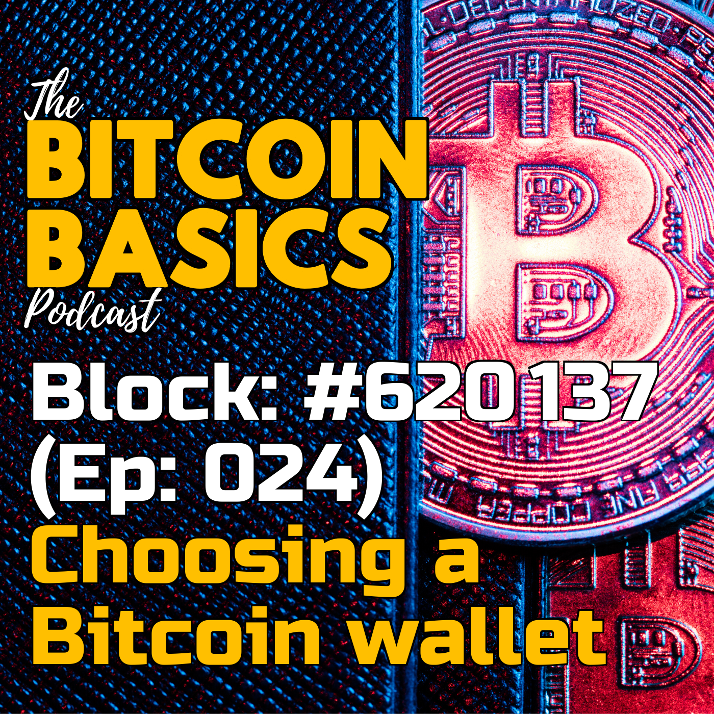 Bitcoin Wallets: #4 Choosing a Bitcoin wallet (24)
