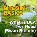 What is DCA w/ Reed (Swan Bitcoin) | Bitcoin Basics (69) Youtube