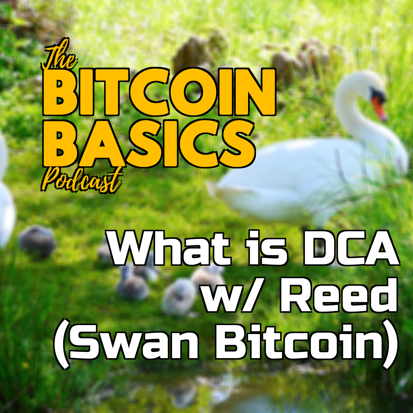 What Is Dca W Reed Swan Bitcoin Bitcoin Basics 69 Coincompass