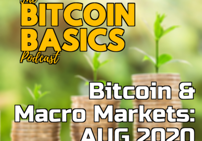 Bitcoin & Macro Markets: AUG 2020 | Bitcoin Basics (70)
