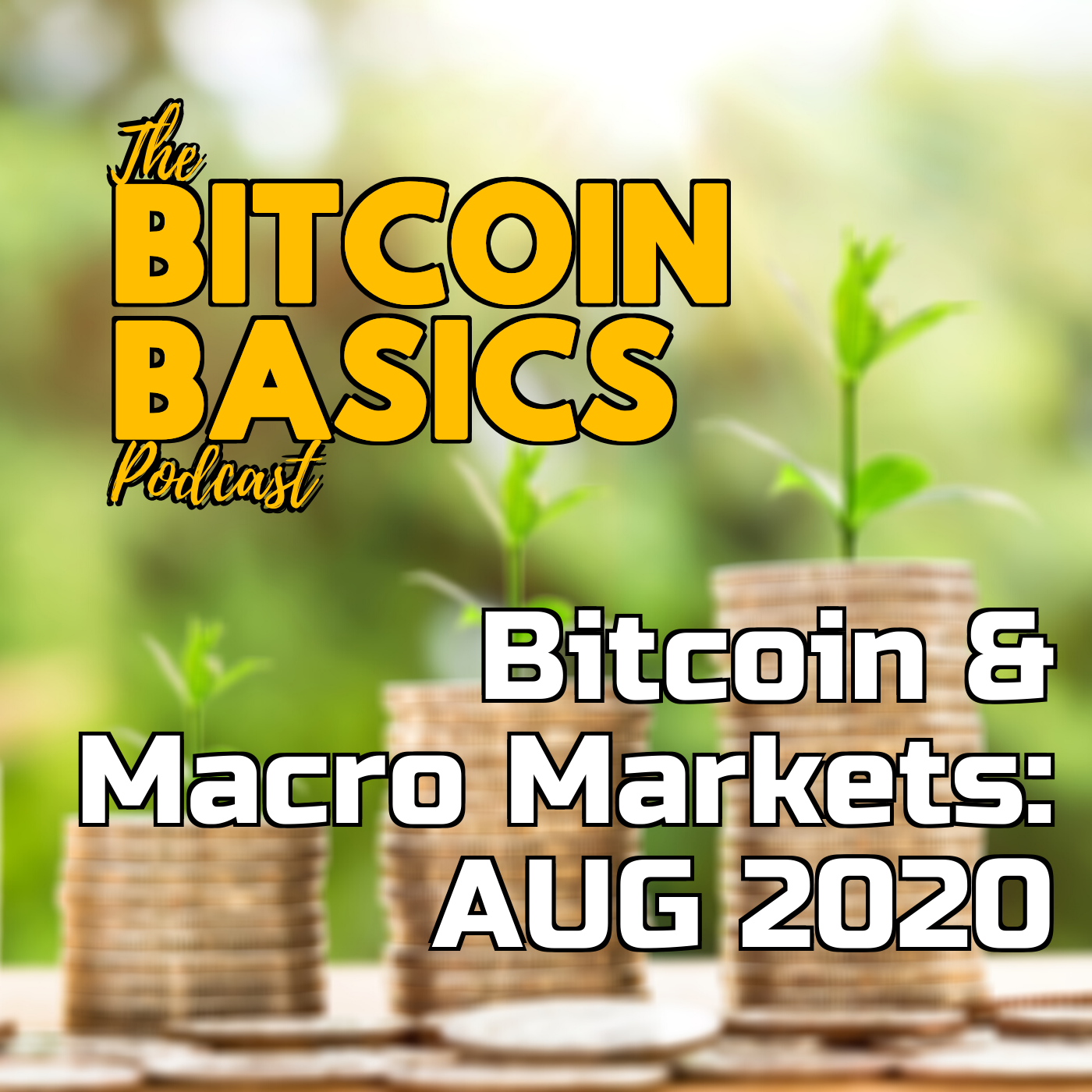 Bitcoin & Macro Markets: AUG 2020 | Bitcoin Basics (70)