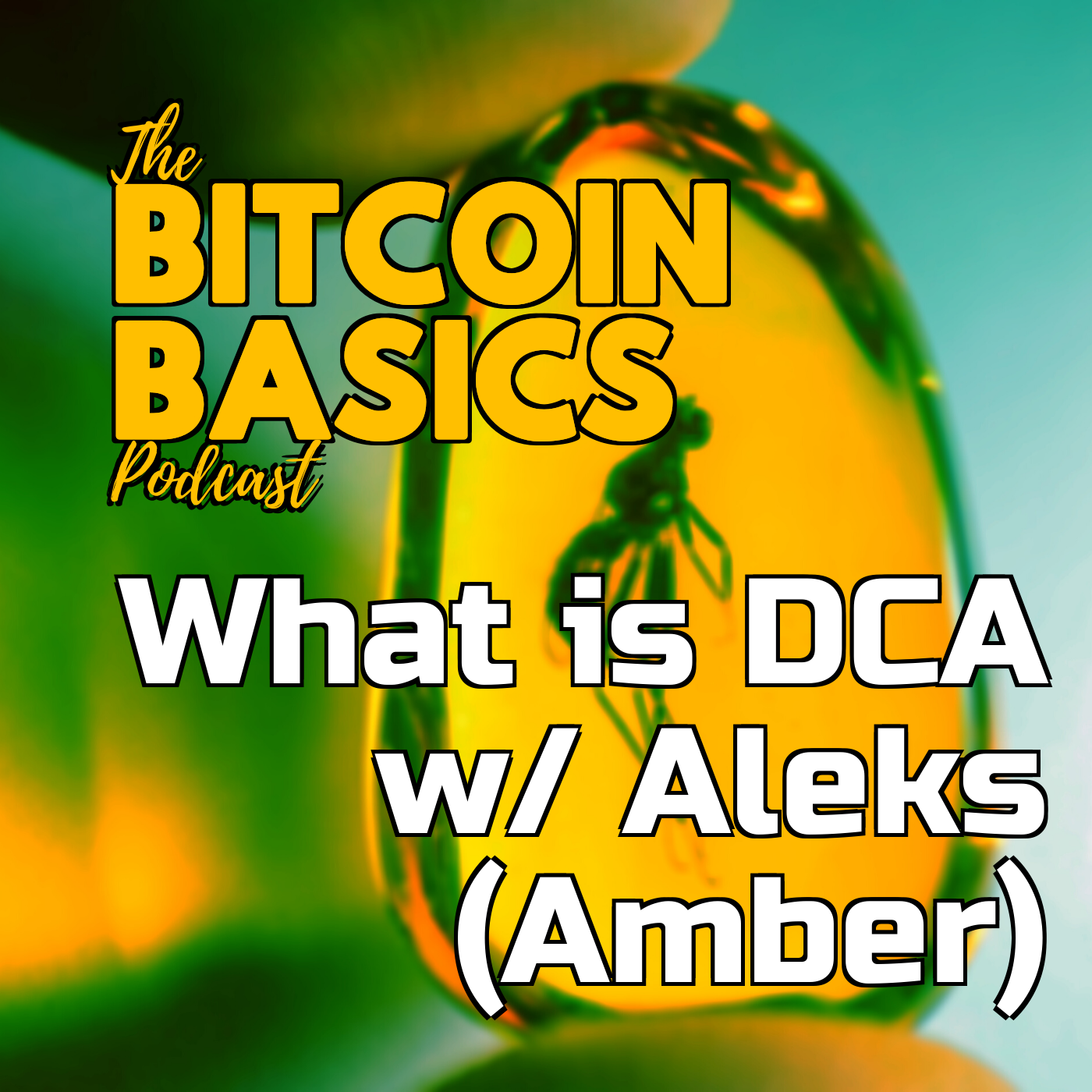 What is DCA w/ Aleks (Amber) | Bitcoin Basics (71)
