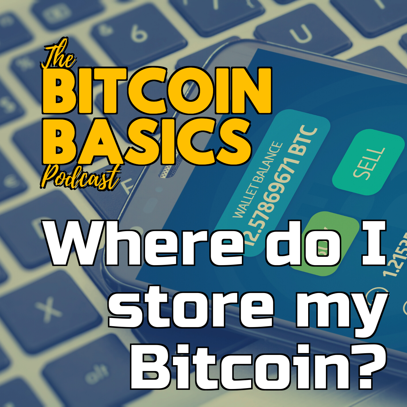 #30 Where do I store my Bitcoin? | Bitcoin Basics (81)