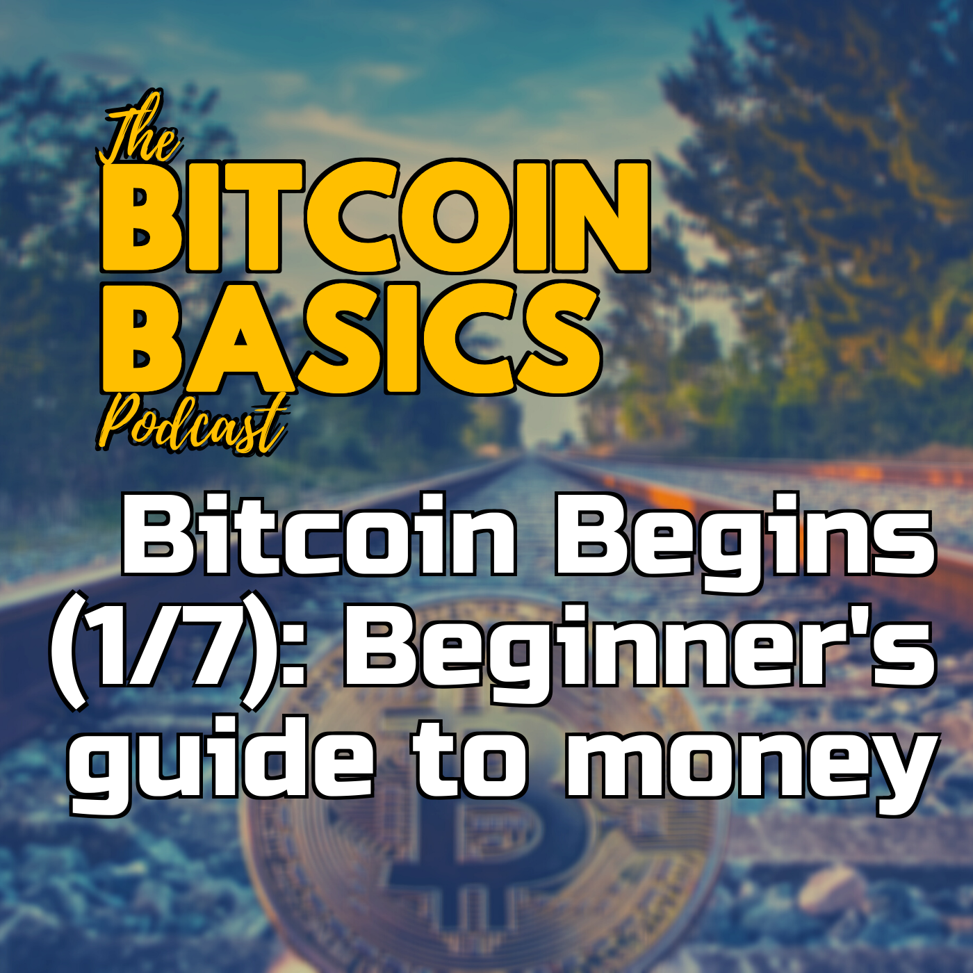 Bitcoin Begins (1/7): Beginner’s guide to money | Bitcoin Basics (87)