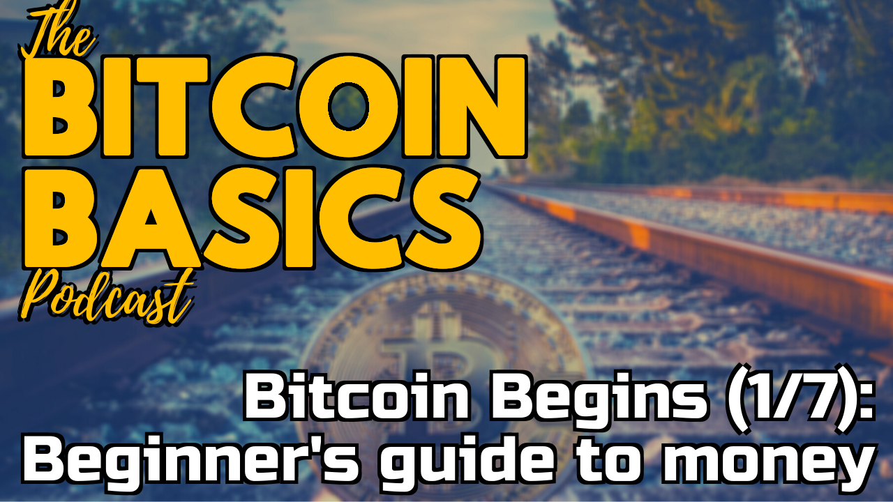 Bitcoin Begins (1/7): Beginner's Guide To Money | Bitcoin Basics (87 ...