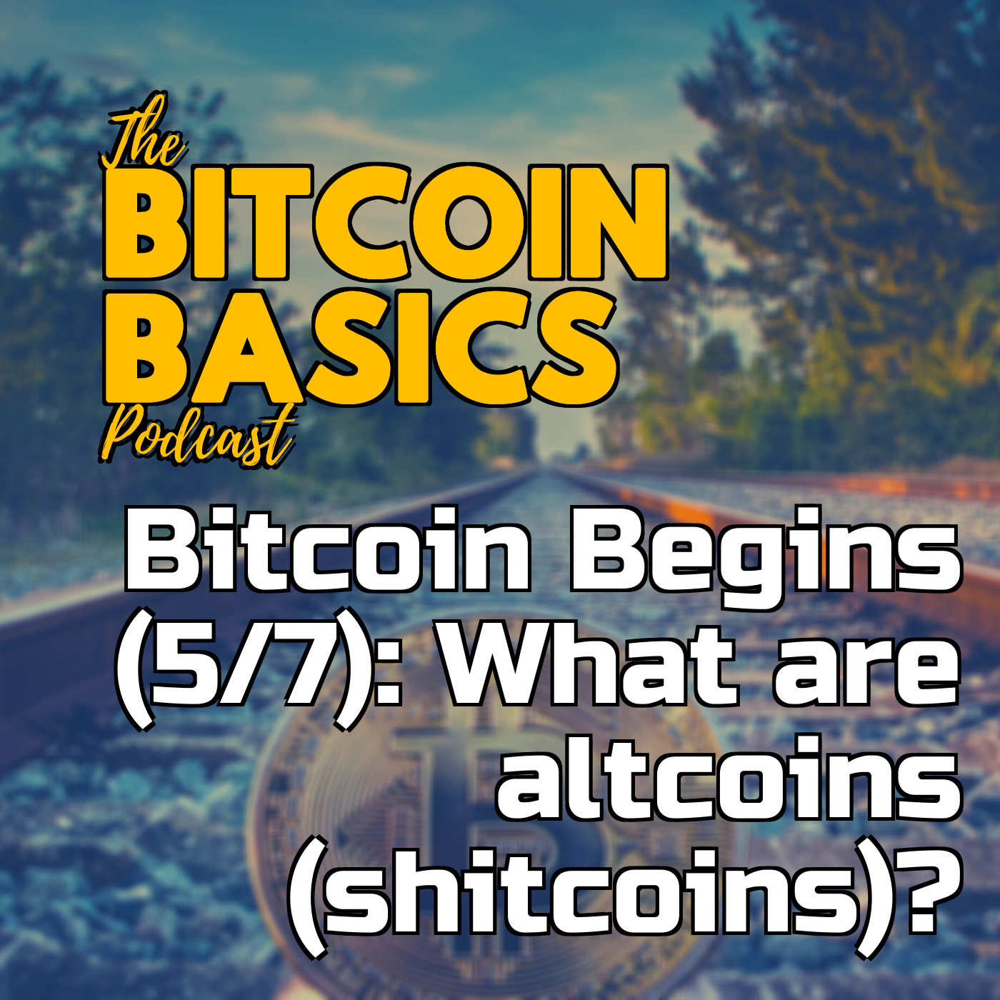 Bitcoin Begins (5/7): What are altcoins (shitcoins)? | Bitcoin Basics (95)