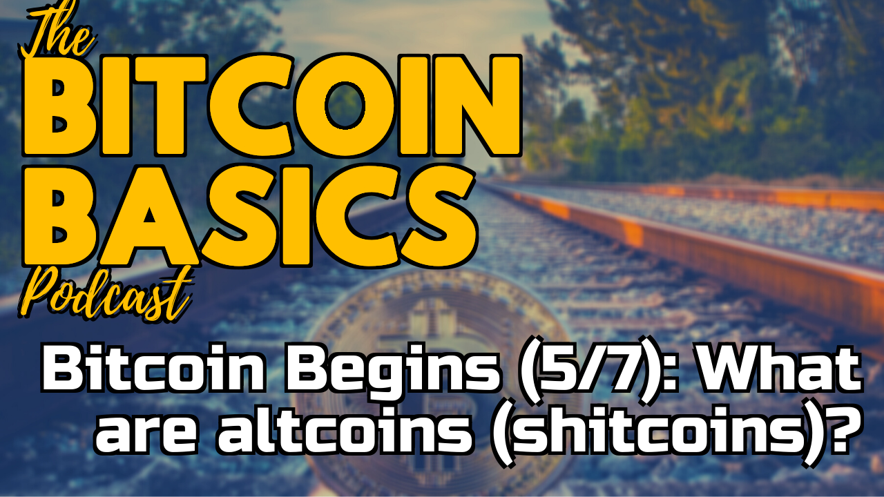Bitcoin Begins (5/7): What are altcoins (shitcoins)? | Bitcoin Basics (95)
