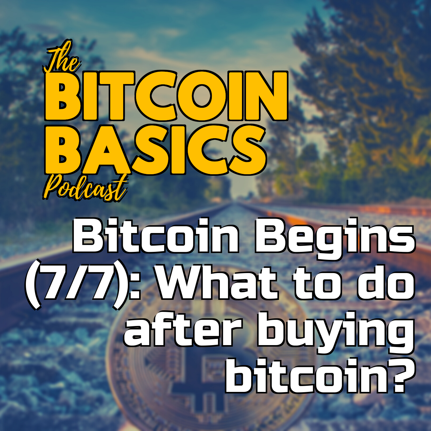 Bitcoin Begins (7/7): What to do after buying bitcoin? | Bitcoin Basics (98)