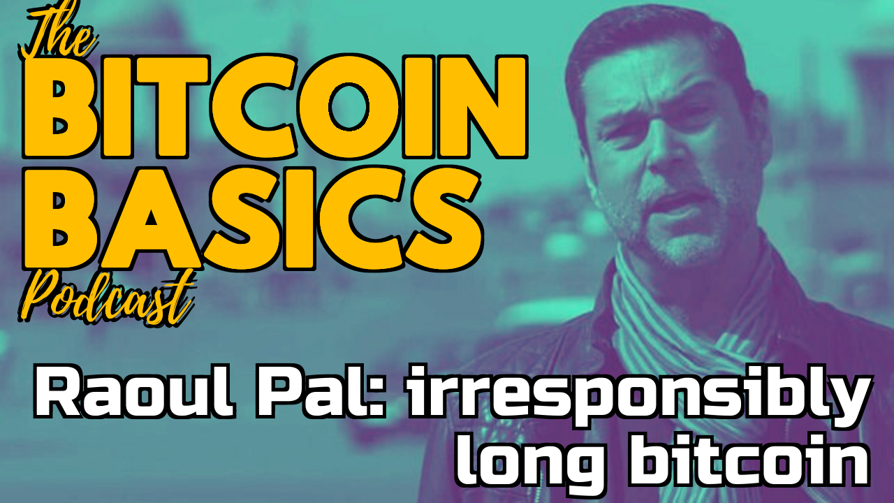 Raoul Pal: irresponsibly long bitcoin | Bitcoin Basics (102)