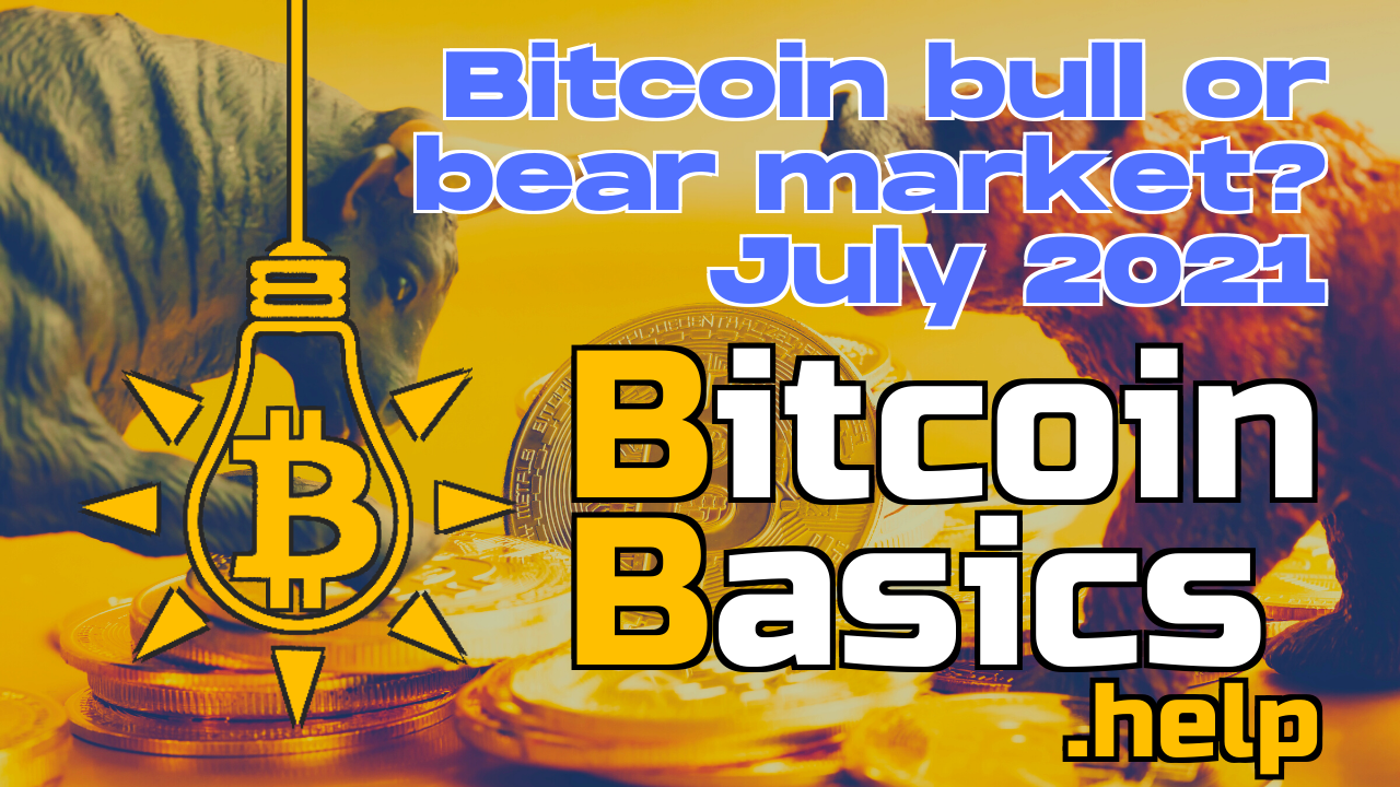 Bitcoin bull or bear market? July 2021 | Bitcoin Basics (133)