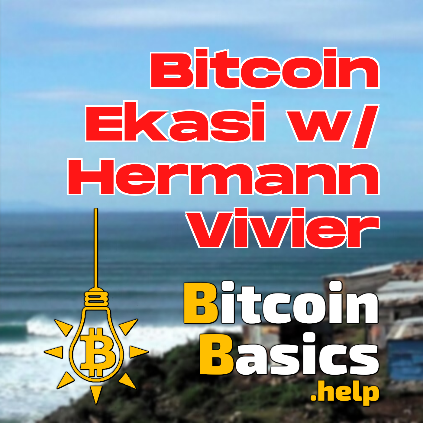 Bitcoin Ekasi w/ Hermann Vivier | Bitcoin Basics (152)