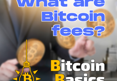 What are Bitcoin fees? | Bitcoin Basics (154)
