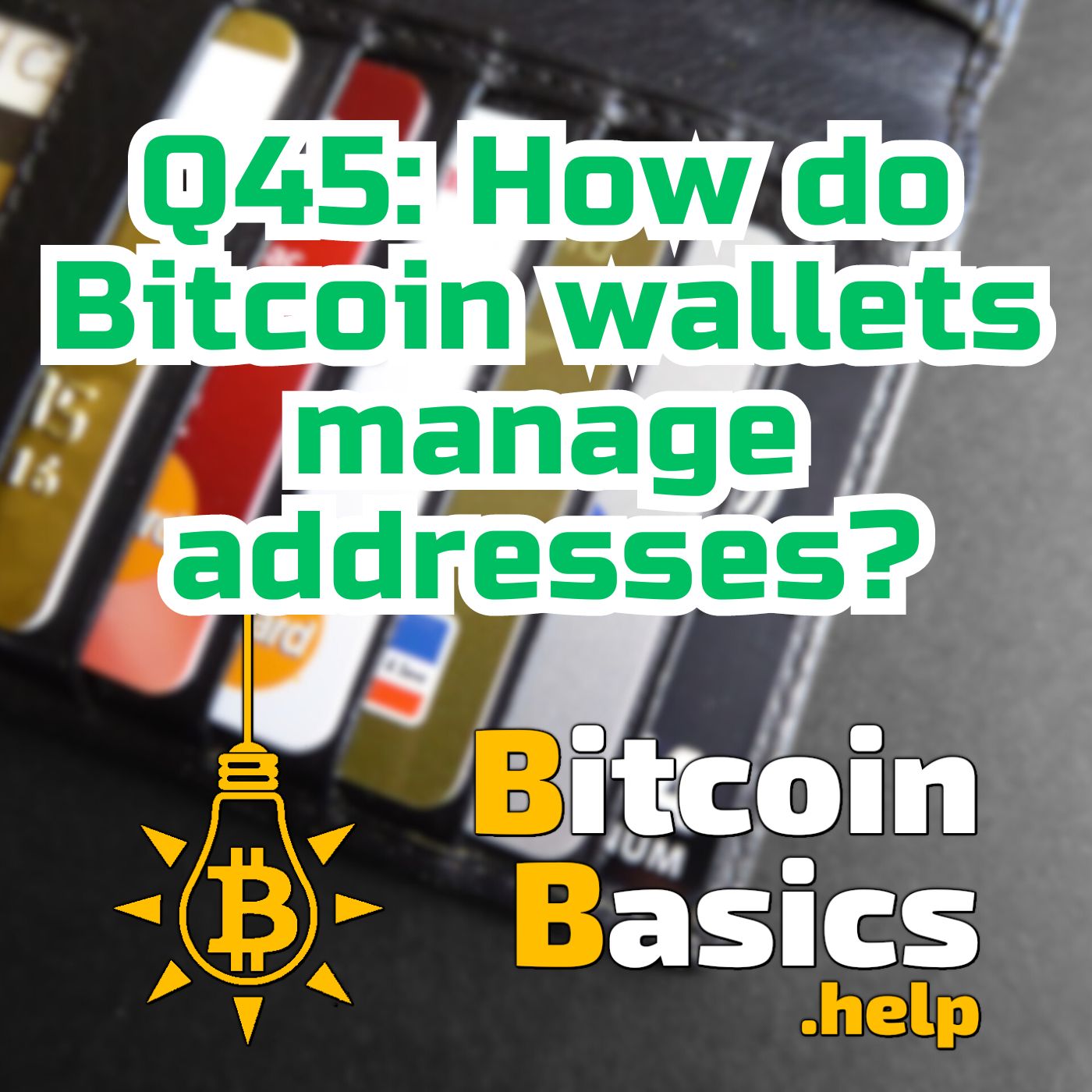 Q45: How do Bitcoin wallets manage addresses? | Bitcoin Basics (196)