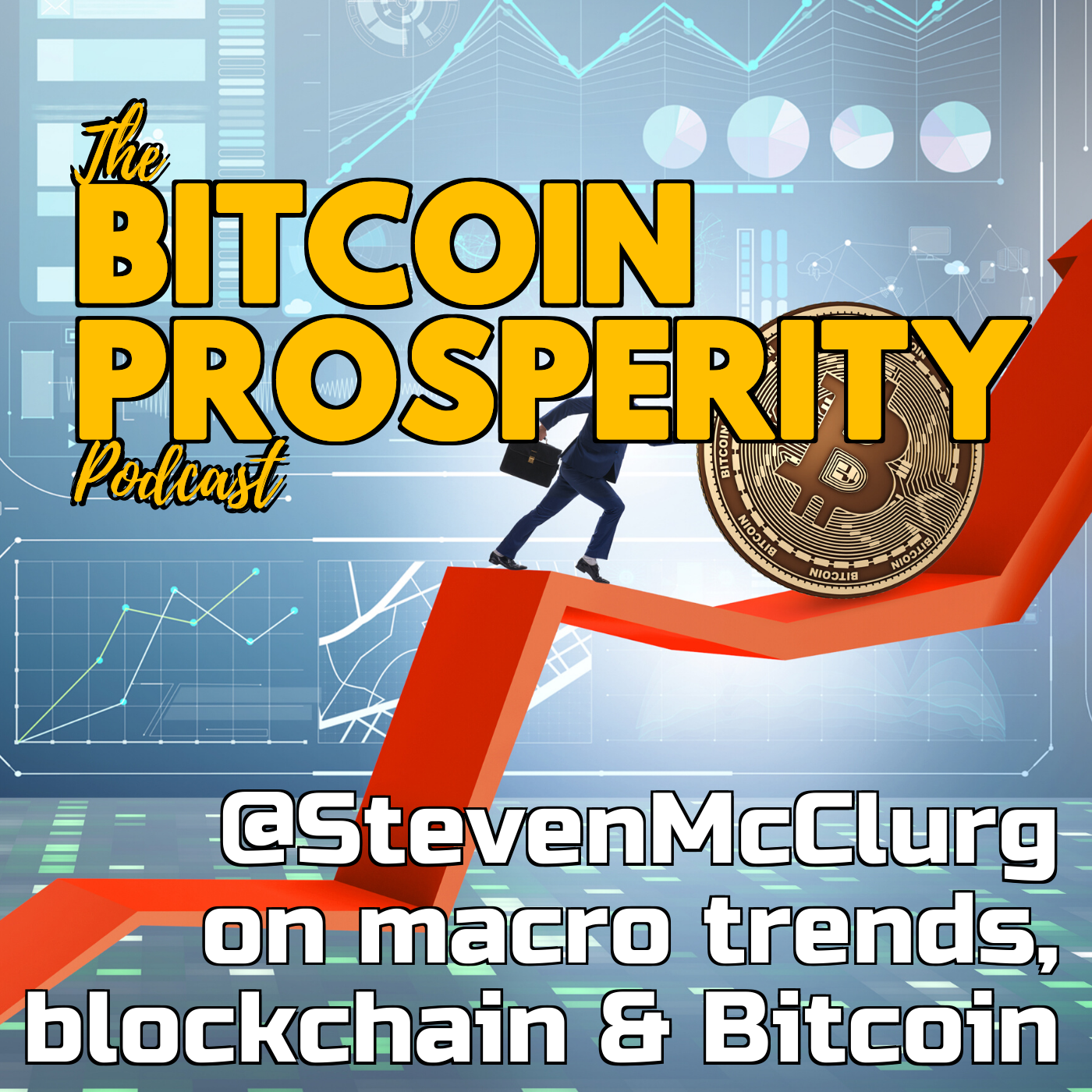 Bitcoin Prosperity: Steven McClurg, Macro Trends #1 (4)