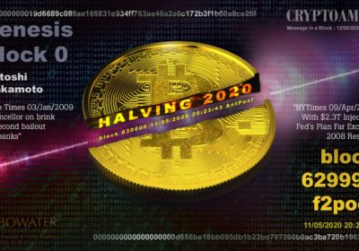 Embedded Bitcoin halving message